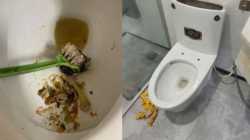 Thông tắc bồn cầu
