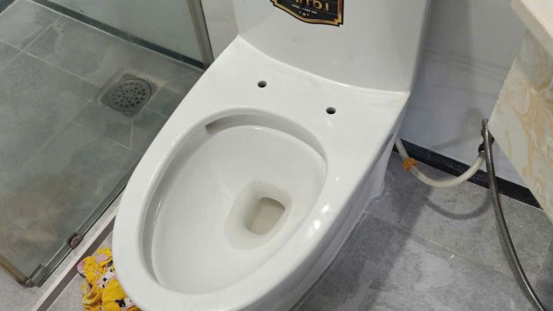 Thông tắc bồn cầu
